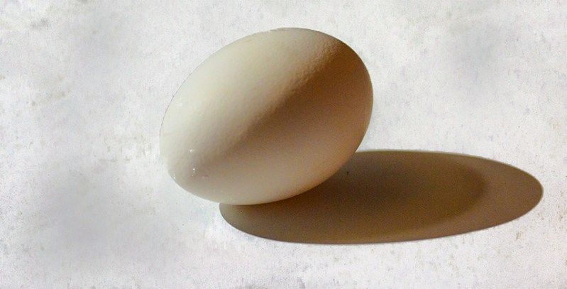 The egg