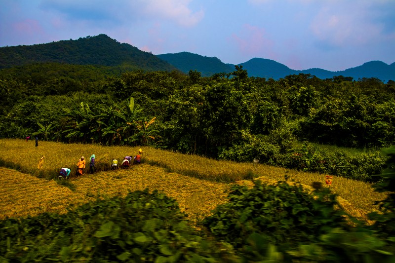 Farmers on the field